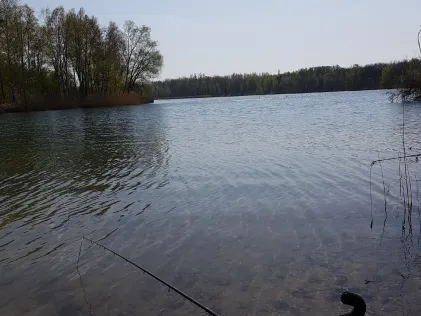 Zschornewitzer See (Golpa II)