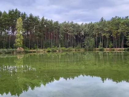 Kraus-Tröster-Weiher (Absberg)