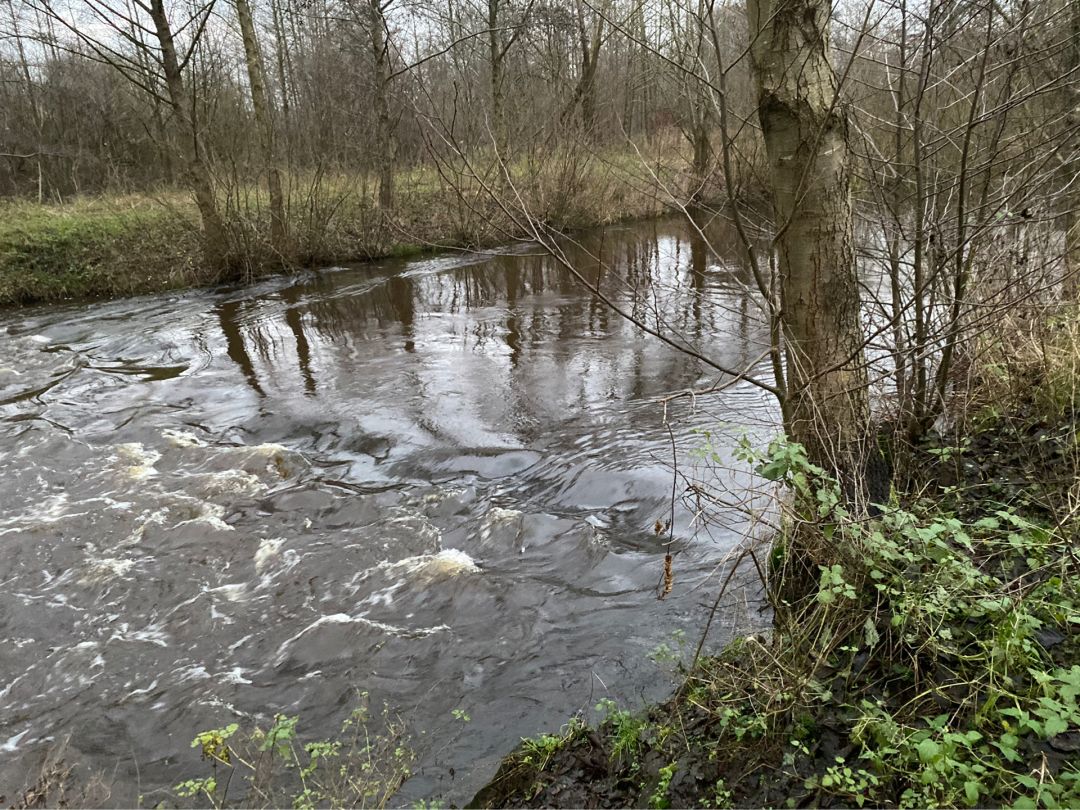 Wümme-Nordarm (Fischerhude) angeln