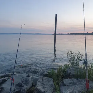 Bodensee (Friedrichshafen)