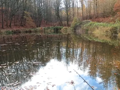 Teichanlage Brauertal