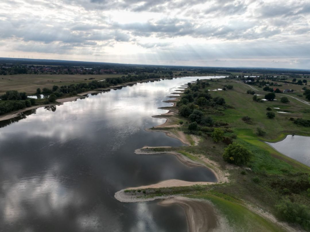 Elbe (Bleckede) angeln