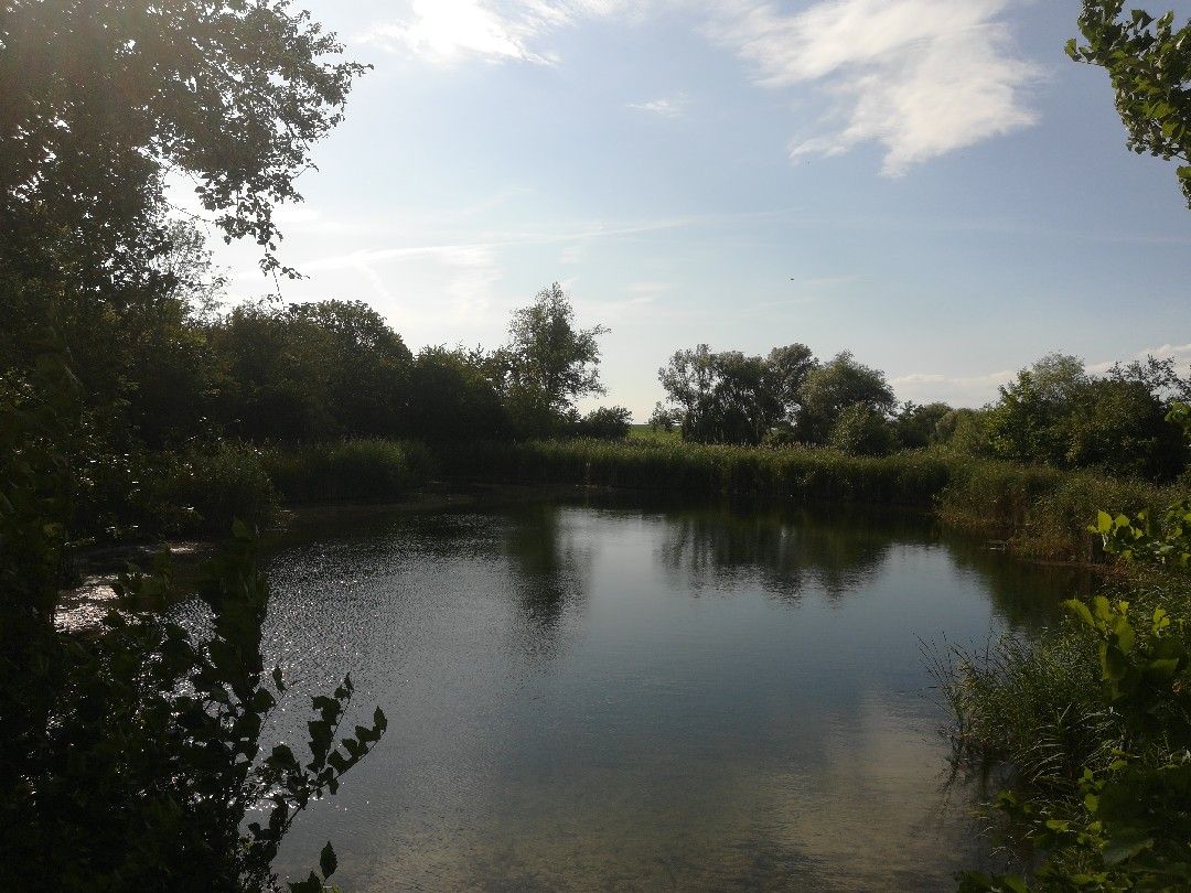 Herrenteich (Tollwitz) angeln