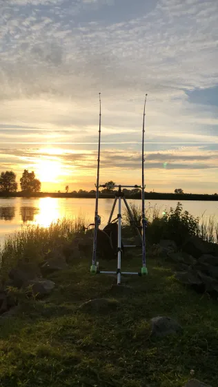 Stör (Wewelsfleth)