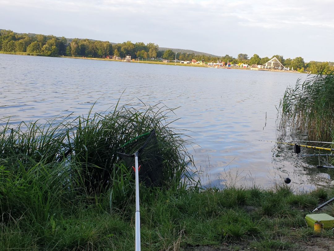 Stausee Hohenfelden angeln