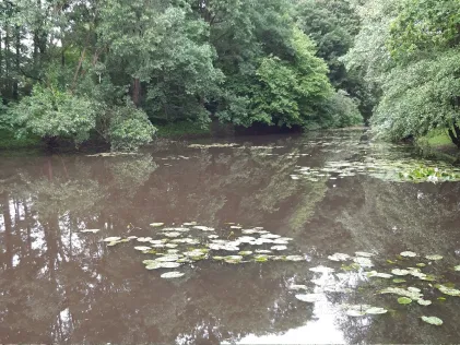 Rückhaltebecken Hummelsbüttel