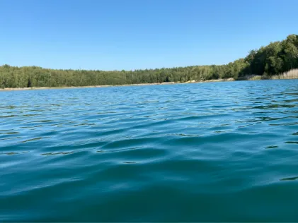 Poleysee