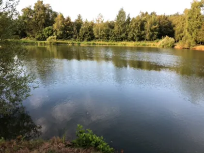 Nalbacher Weiher