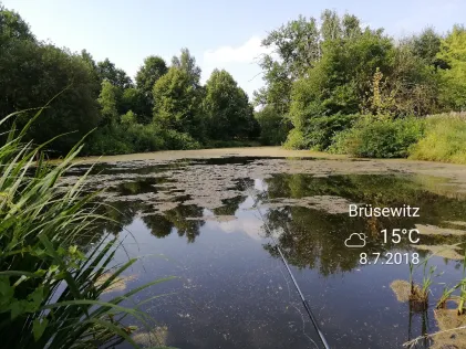 Schlossteich Brüsewitz