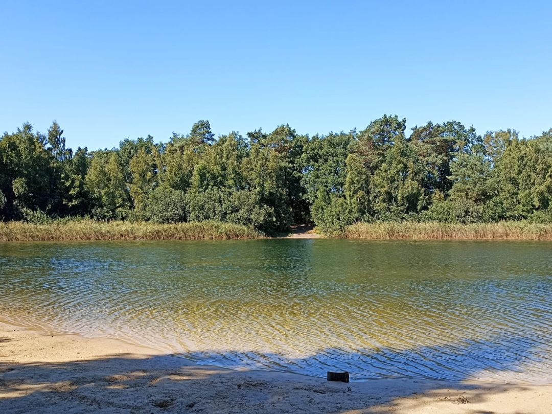 Baggersee Herzlake angeln