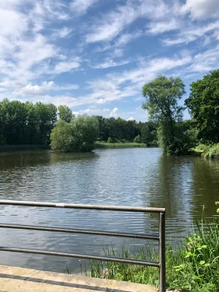 Stadtteich Buchholz in der Nordheide