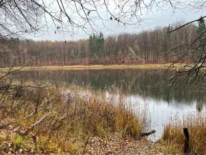 Krummer See