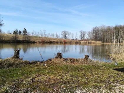 Waldsee Monheim