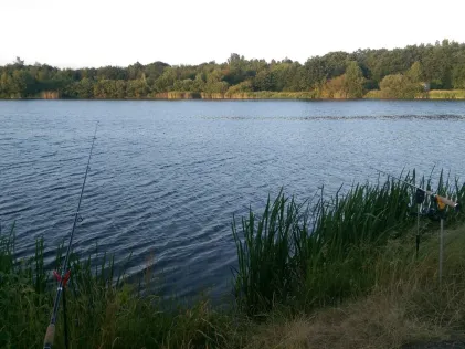 Sandtanger See