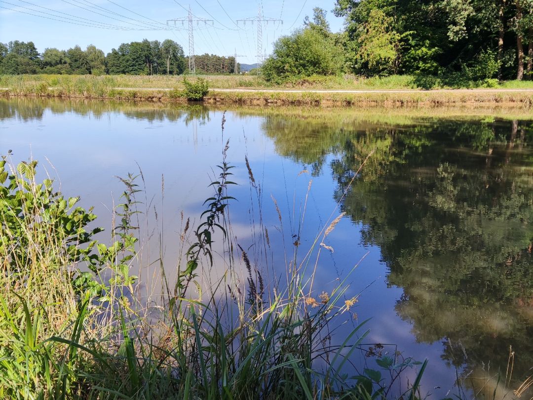 Teichanlage Reichenschwand angeln