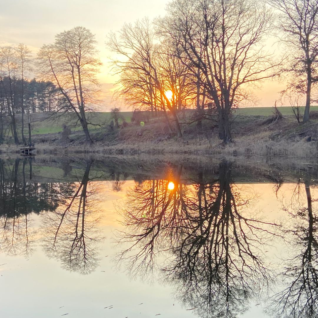Schwarzer See (Mewegen) angeln