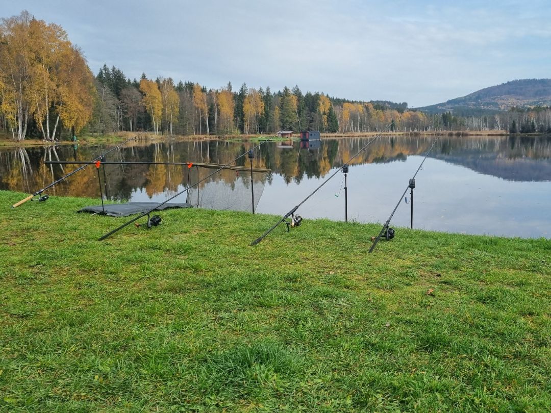 Václavský rybník (Wenzelsee) angeln