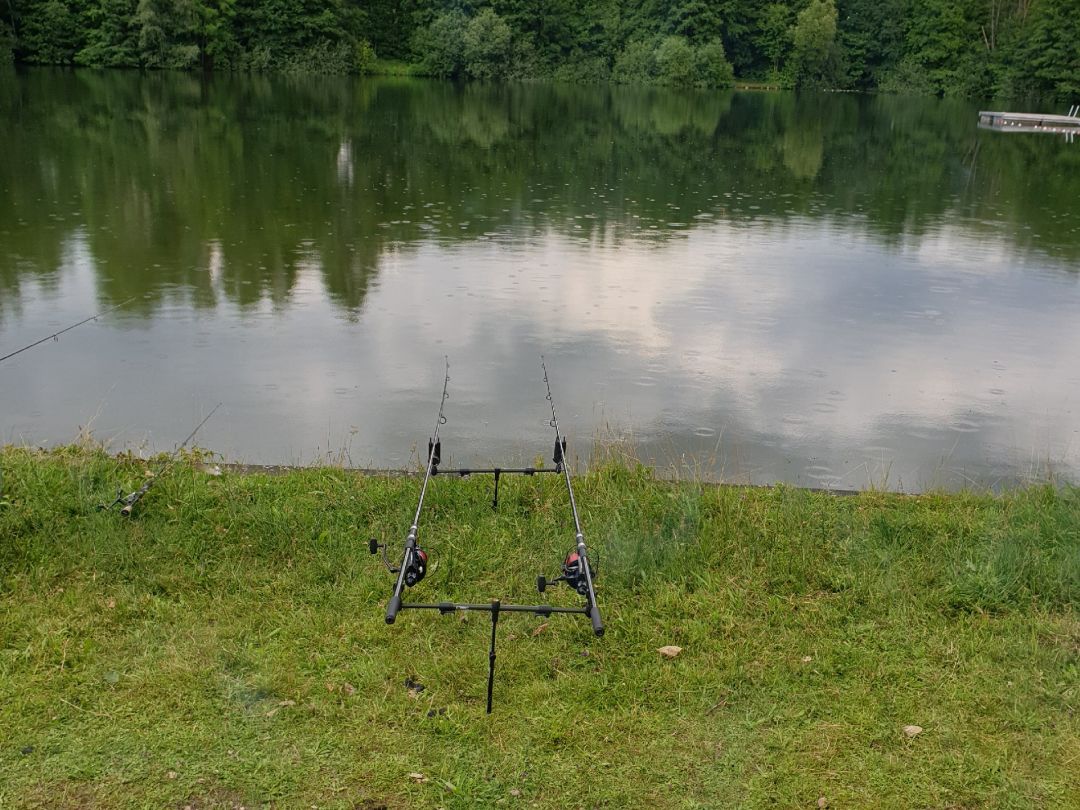 Waldsee Ladbergen angeln