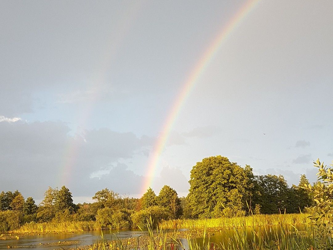 Tarnower Torfloch angeln