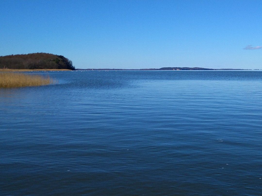 Jasmunder Bodden (Schleuse Lietzow) angeln