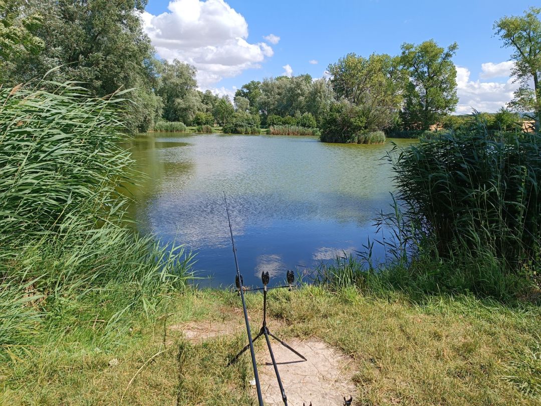 Hopfenteich (Bad Langensalza) angeln