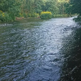 Wupper (Beyenburg)