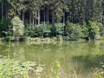 Hanfsee (Rösersmühle)
