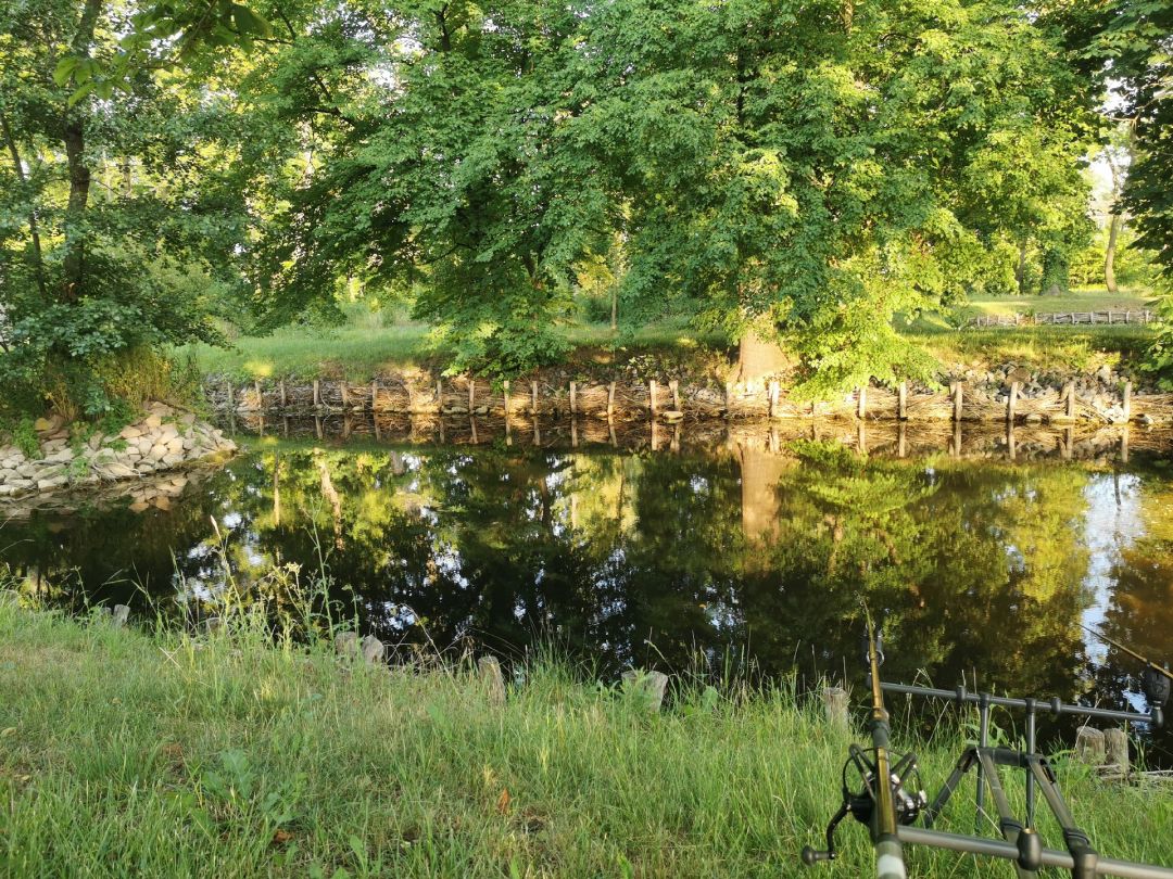 Parkteich Großjena angeln