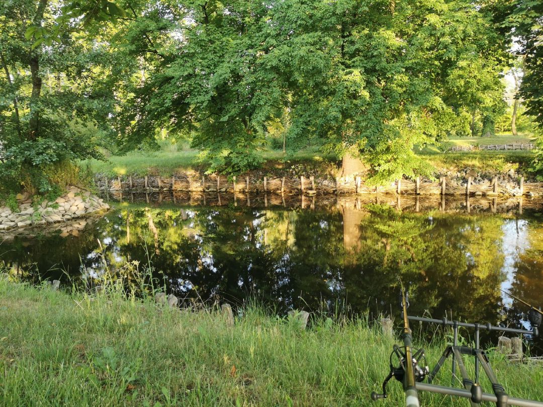 Parkteich Großjena  angeln