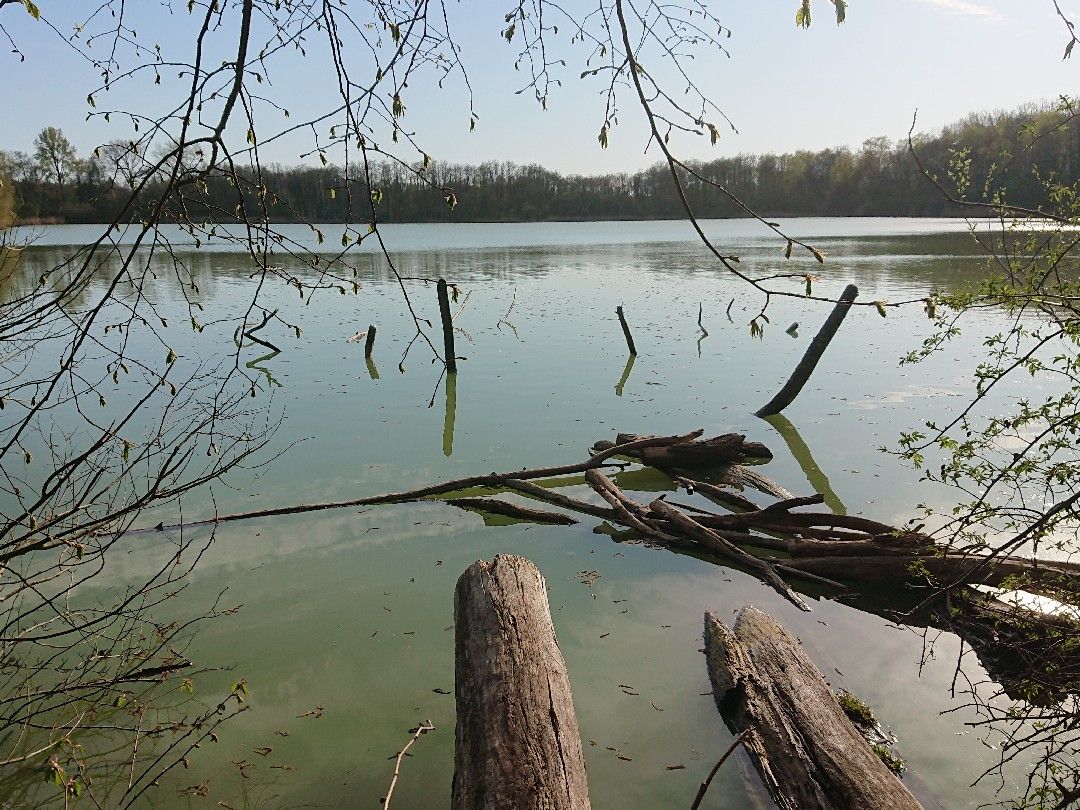 Drachensee (Kiel) angeln