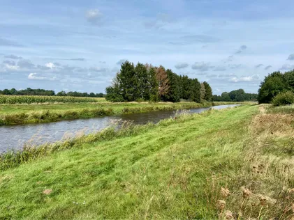 Große Aue (Varrel)