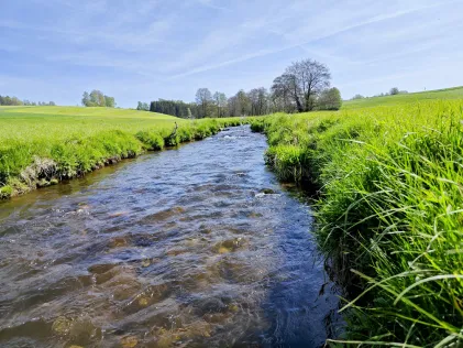 Waldnaab (Bärnau)