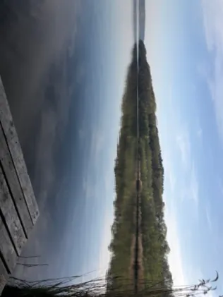 Schmollensee