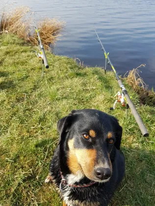 Geeste (Spaden)