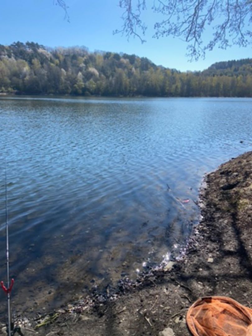 Silbersee (Frielendorf) angeln