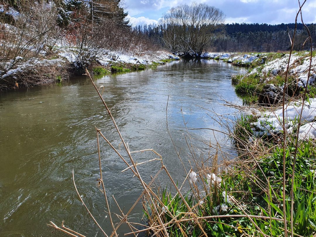 Fränkische Rezat (Wassermungenau) angeln