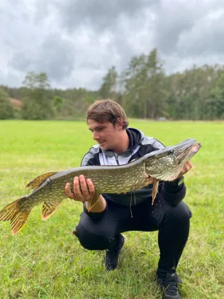Fränkische Rezat (Wassermungenau)