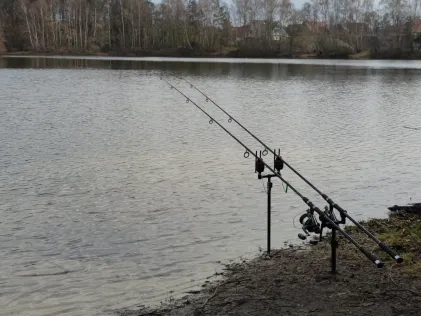Biener See
