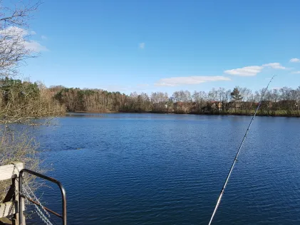 Biener See