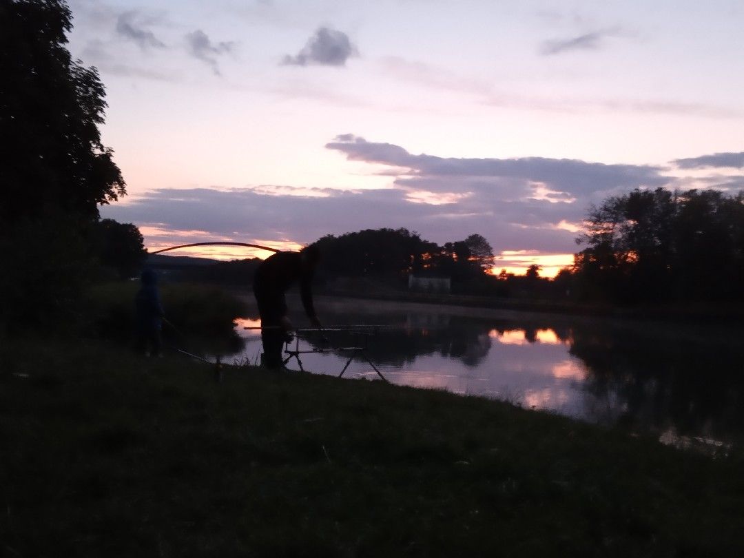 Mittellandkanal (Bad Essen) angeln