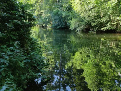 Schaalseekanal