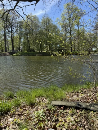 Parkteich Großkmehlen