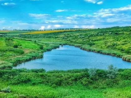 See Pinzăreni