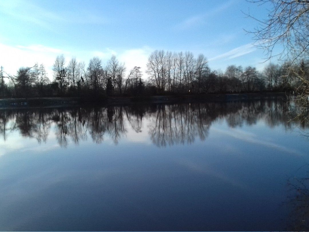 Angelsee Henjesweg angeln