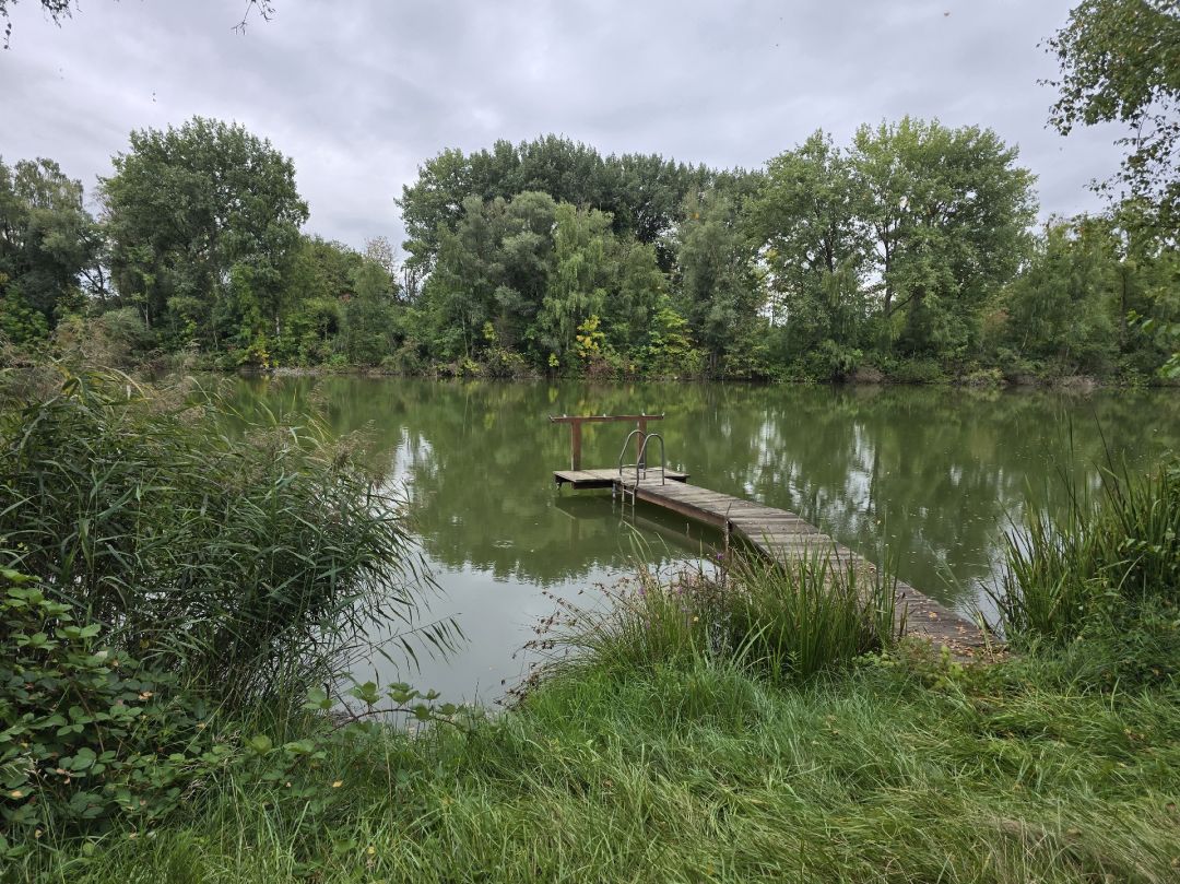 Vohlochsee (Gundelfingen) angeln