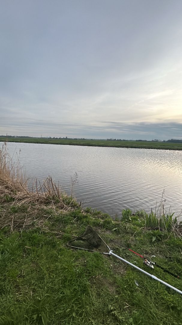 Vinkenhop (Graftdijk) angeln