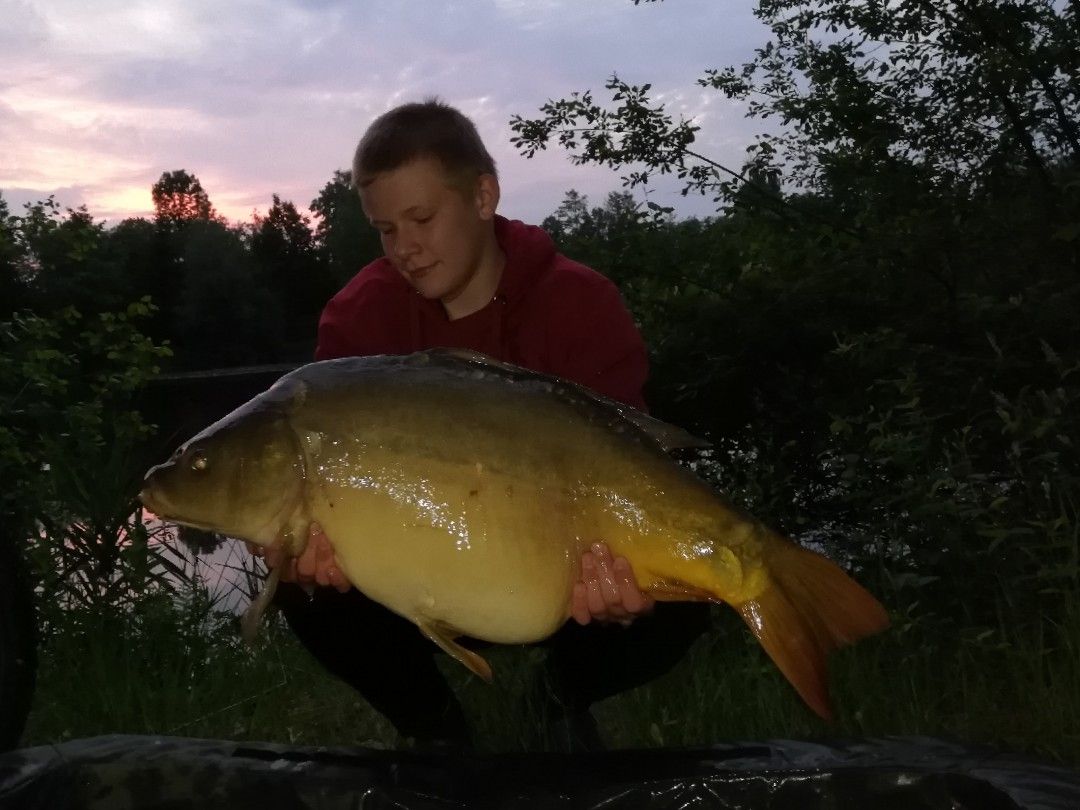 Waldsee Metelen angeln