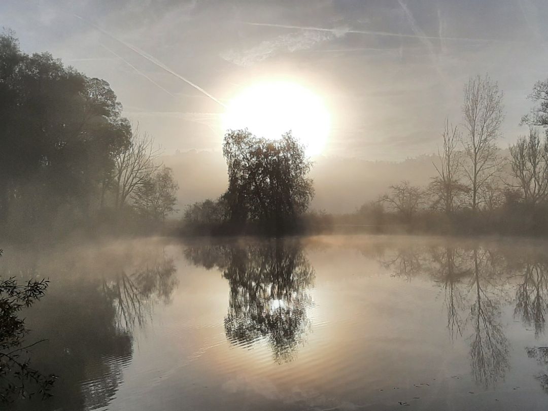 Nefzger Weiher  angeln