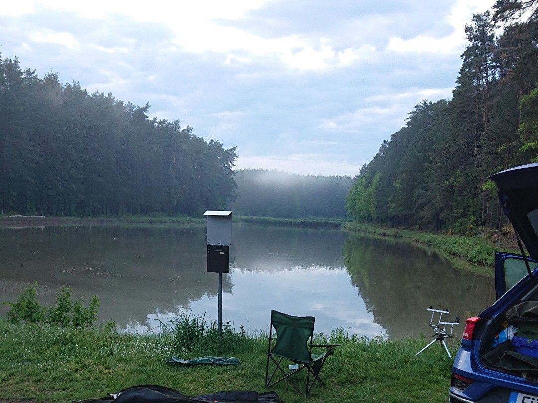 Maussner Weiher angeln