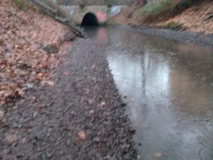 Nordgraben (Berlin-Tegel)